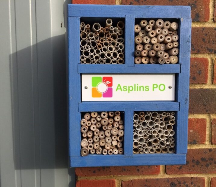 bee hotel with asplins logo on it