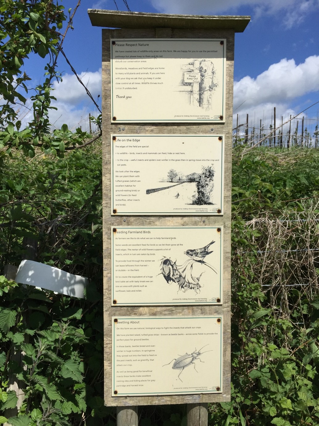 wildlife sign in woodlands showing bird and bug species